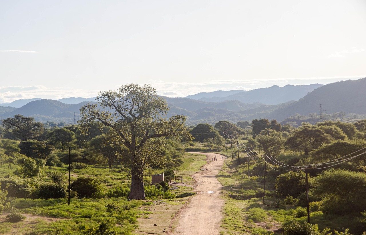 A dirt path lined with power lines runs through a landscape of green plants and trees with mountains in the distance